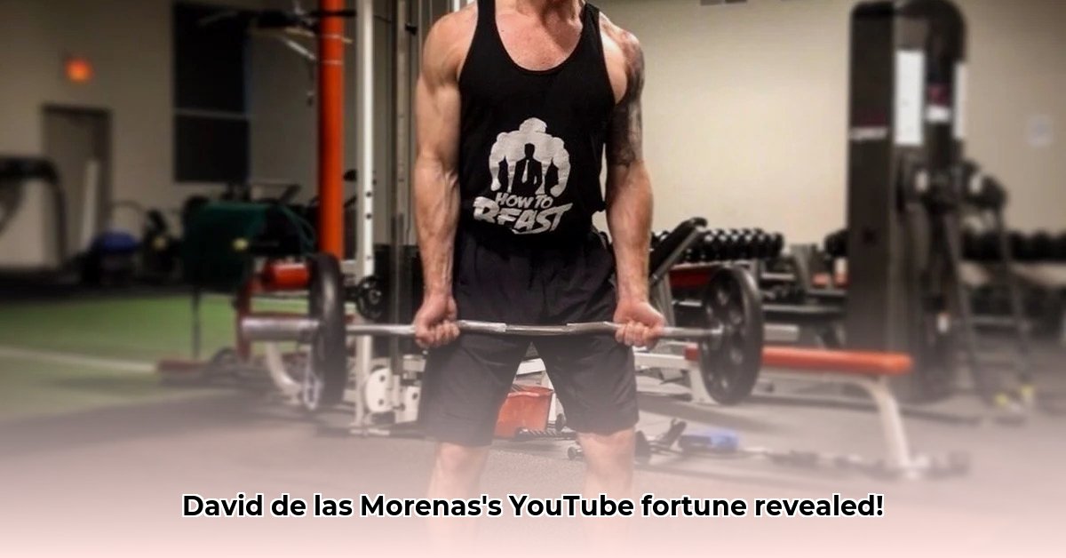 david-de-las-morenas-net-worth